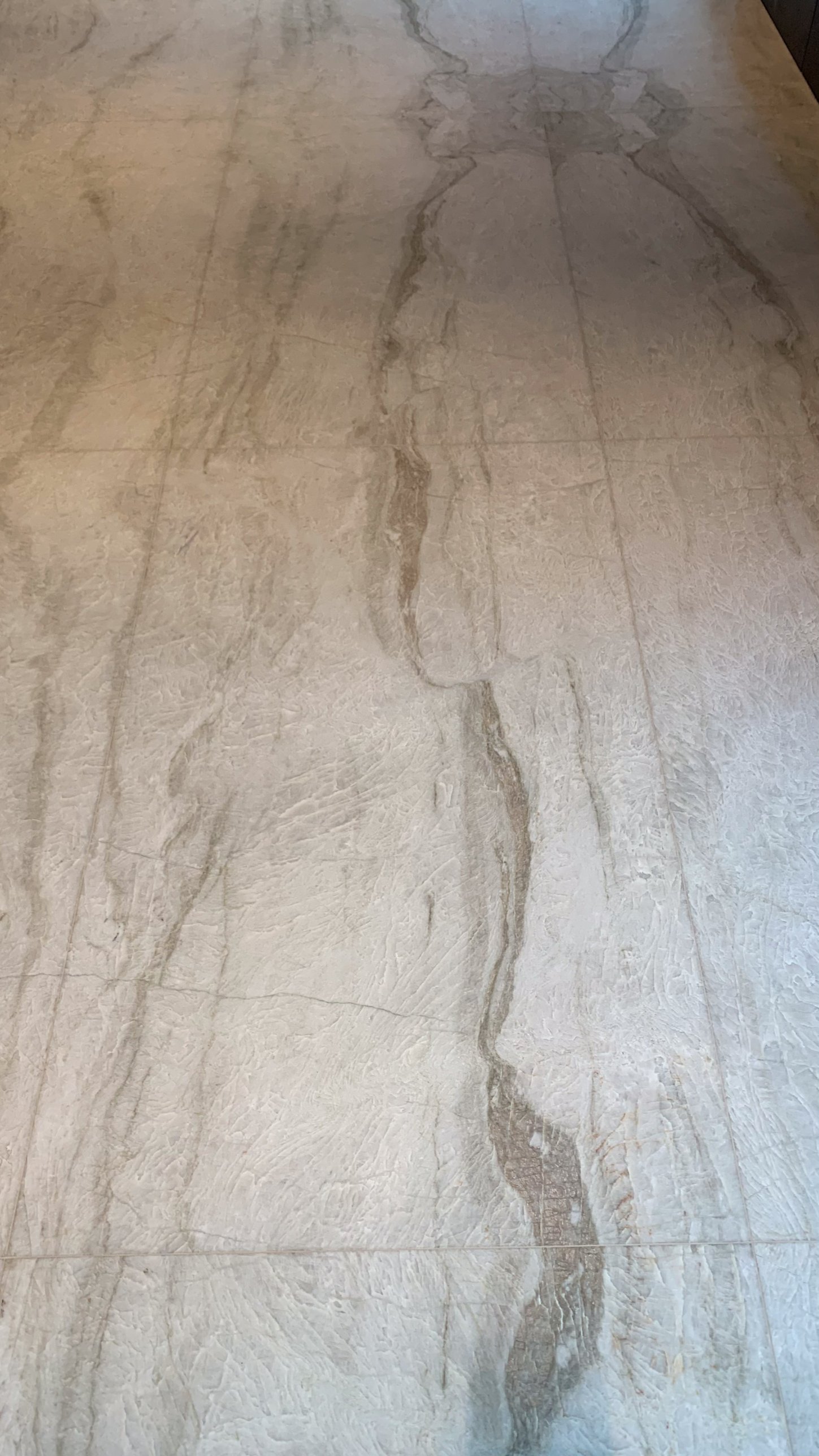 The pale veined stone floor
