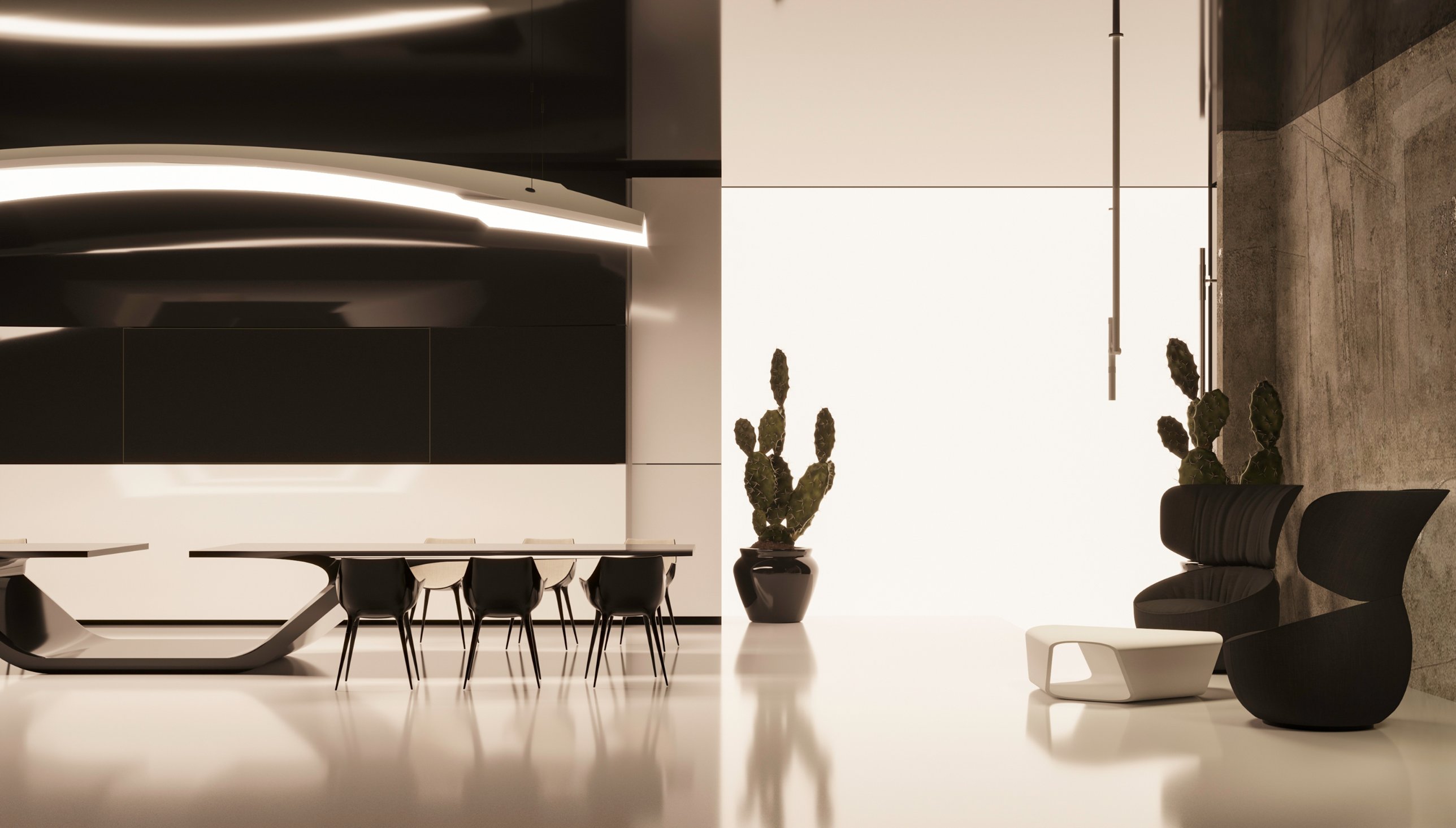 The conference room and lounge: the long table and light sculpture beside sculptural black armchairs and cacti